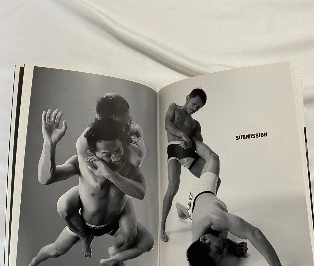 CD-ROM動作確認済み ハイパーアングルポーズ集 マッスルバトル