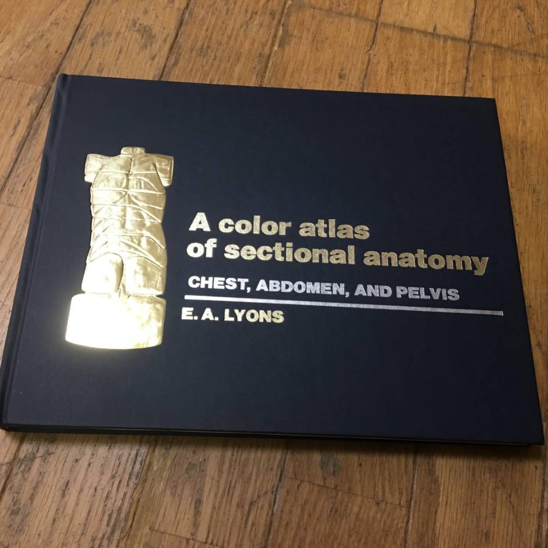 A color atlas of sectional anatomy医学洋書大型