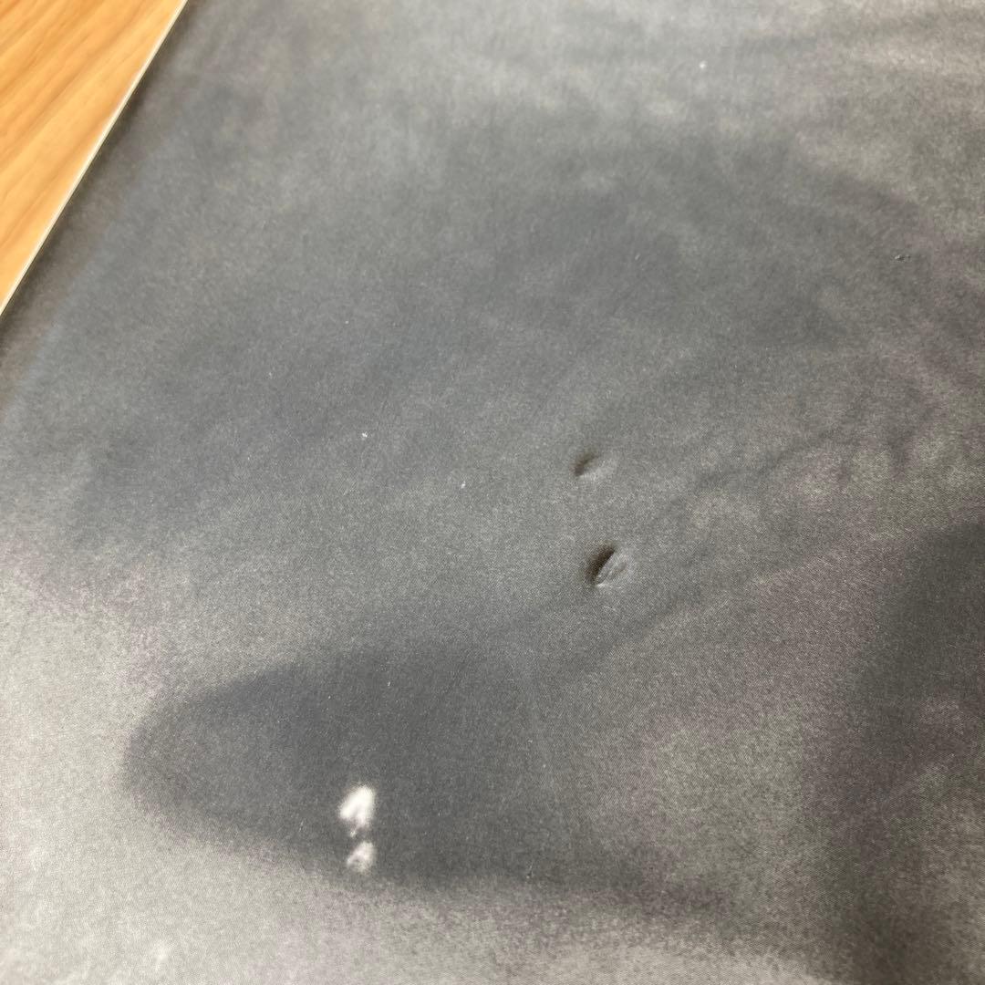 ROBERT MAPPLETHORP ロバート・メイプルソープ写真集ドイツ版