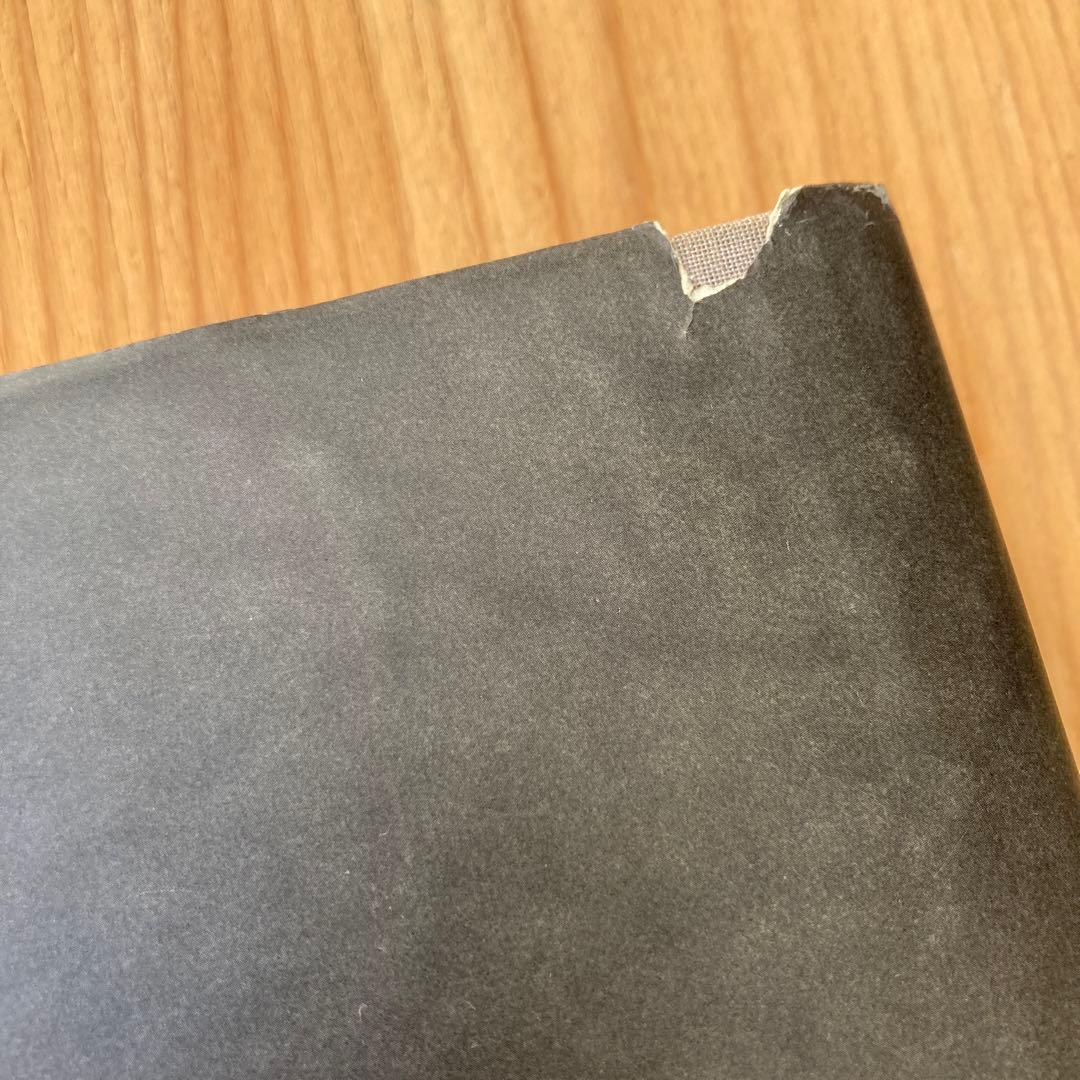 ROBERT MAPPLETHORP ロバート・メイプルソープ写真集ドイツ版