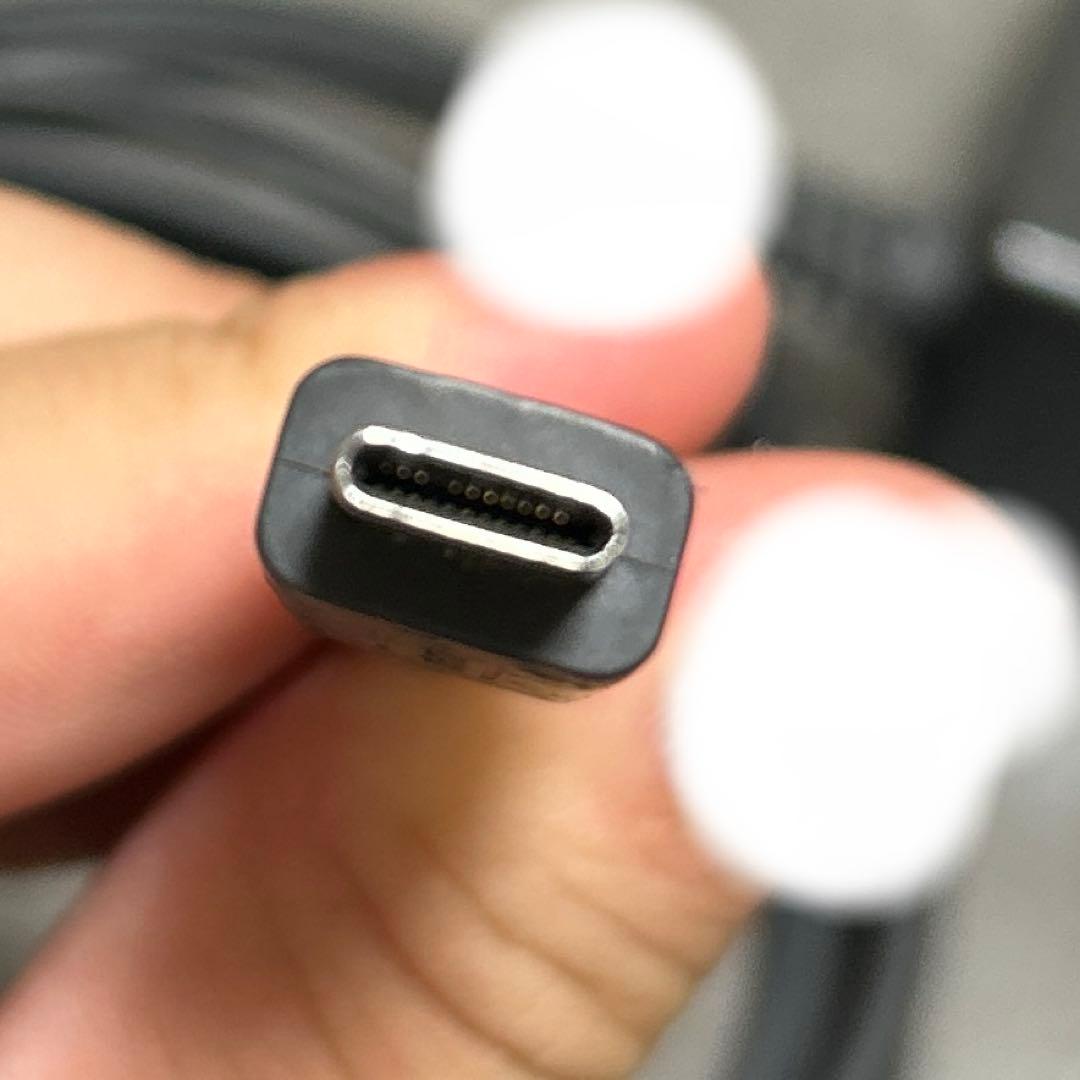 Switchライト　ブルー　付属の充電器