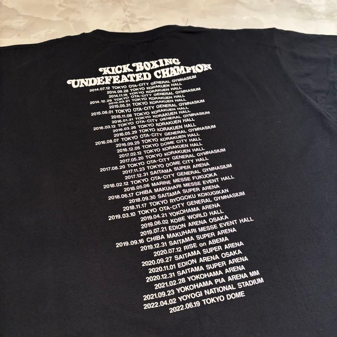 【レア品】TEAM TENSHINポップアップ限定Tシャツ　Lサイズ